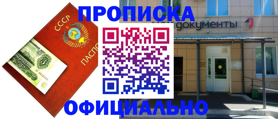 прописка для школы в Елизово