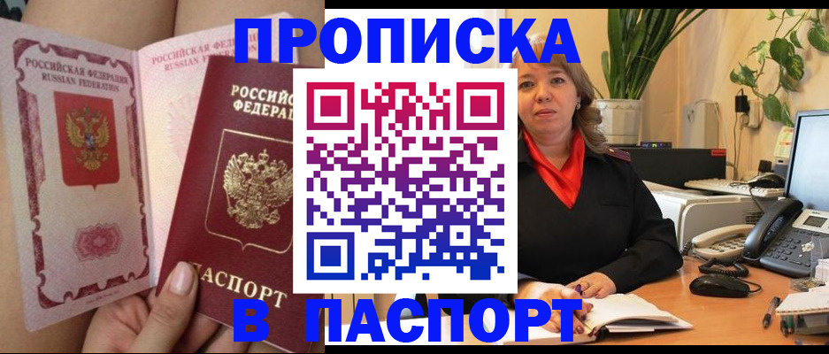 прописка поиск в Елизово